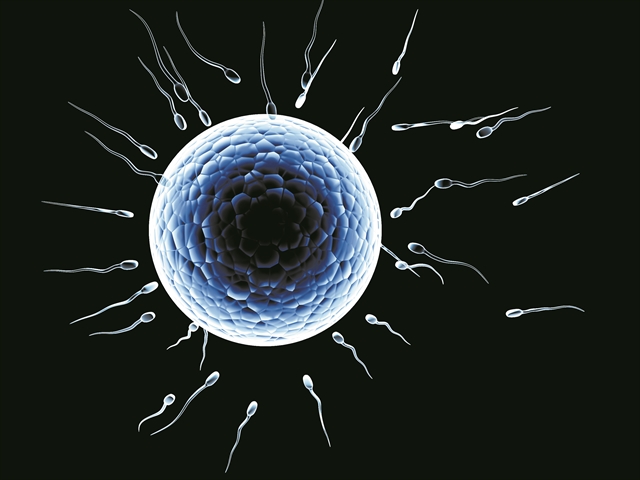 shutterstock 74521186