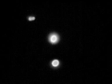 Κατακερματισμός DNA στο σπέρμα