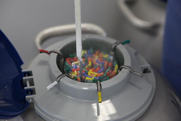 Κατάψυξη Ωαρίων και Εμβρύων