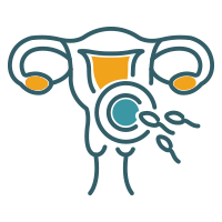 Εμβρυομεταφορά