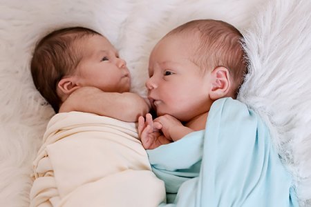 Διαδικασία Εξωσωματικής Γονιμοποίησης