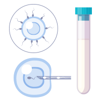 Γονιμοποίηση Ωαρίων